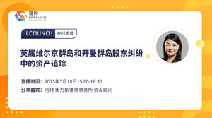 英属维尔京群岛和开曼群岛股东纠纷中的资产追踪