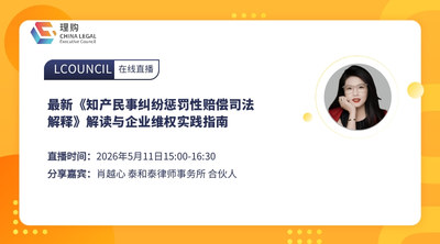 最新《知产民事纠纷惩罚性赔偿司法解释》解读与企业维权实践指南
