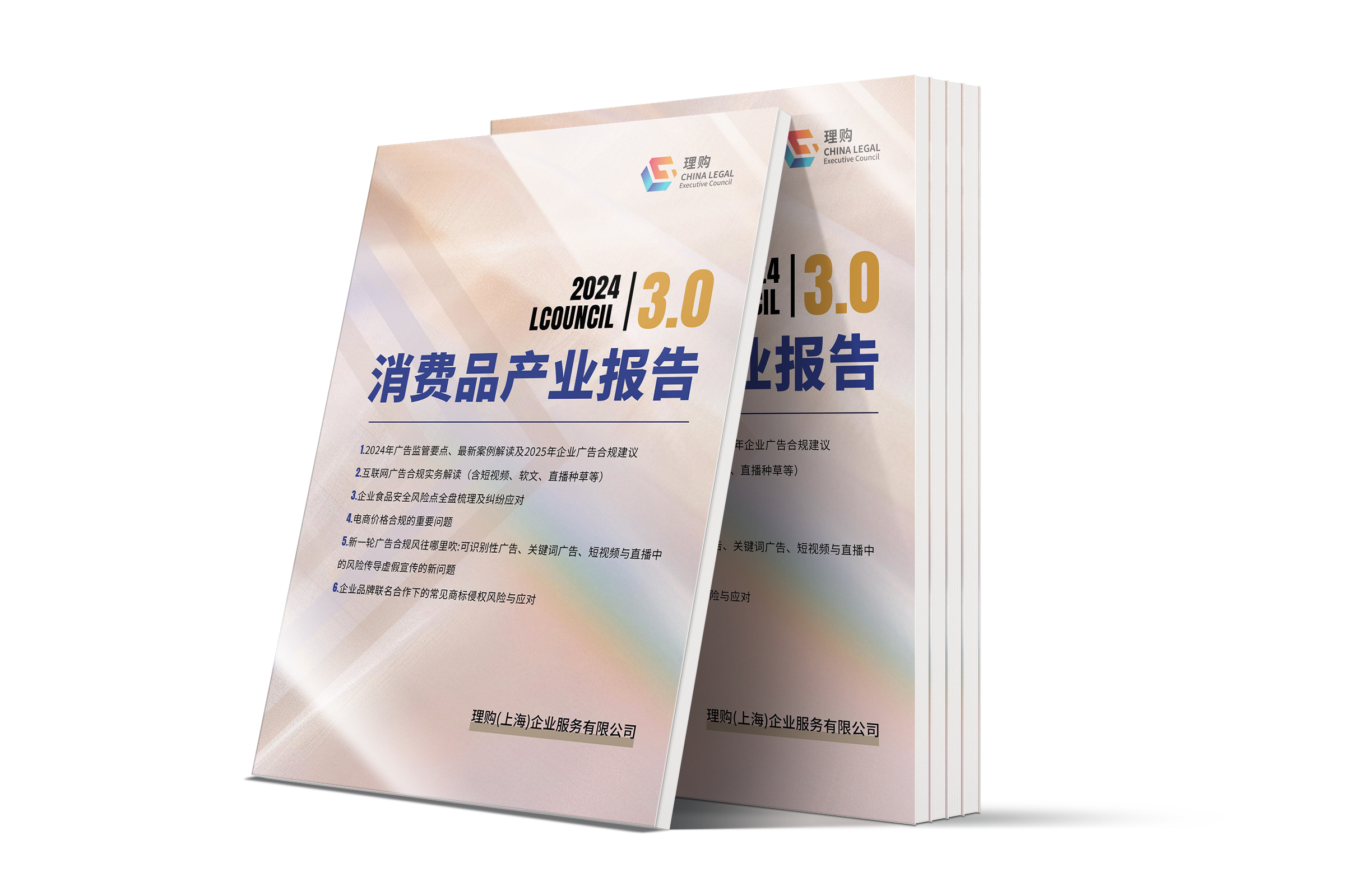 2024LCOUNCIL消费品产业报告3.0